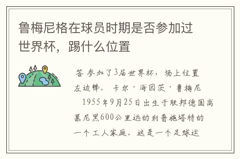 鲁梅尼格在球员时期是否参加过世界杯,踢什么位置