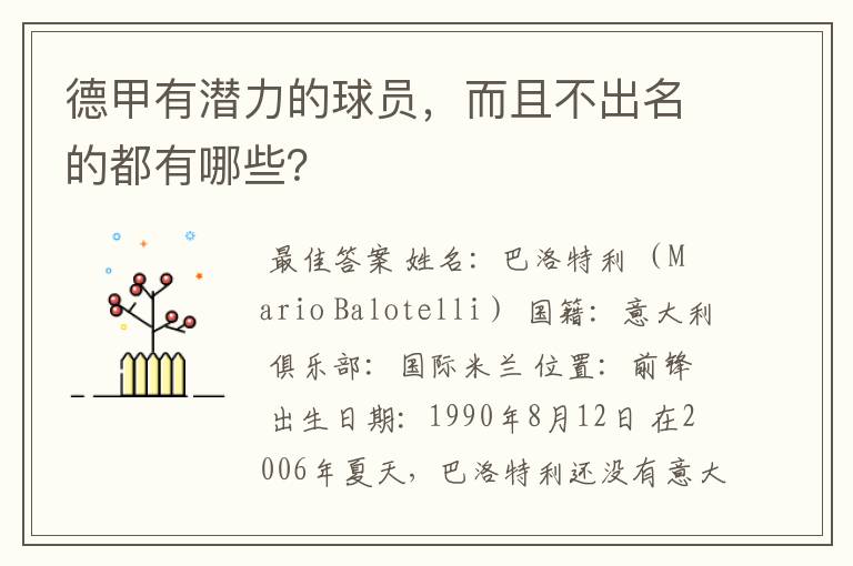 德甲有潜力的球员,而且不出名的都有哪些?