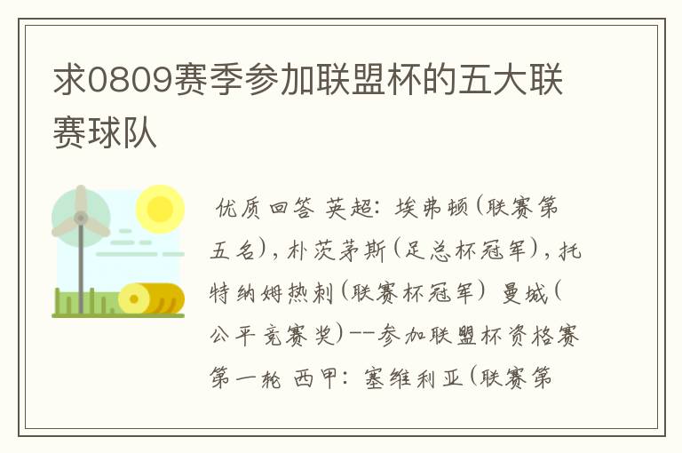 求0809赛季参加联盟杯的五大联赛球队