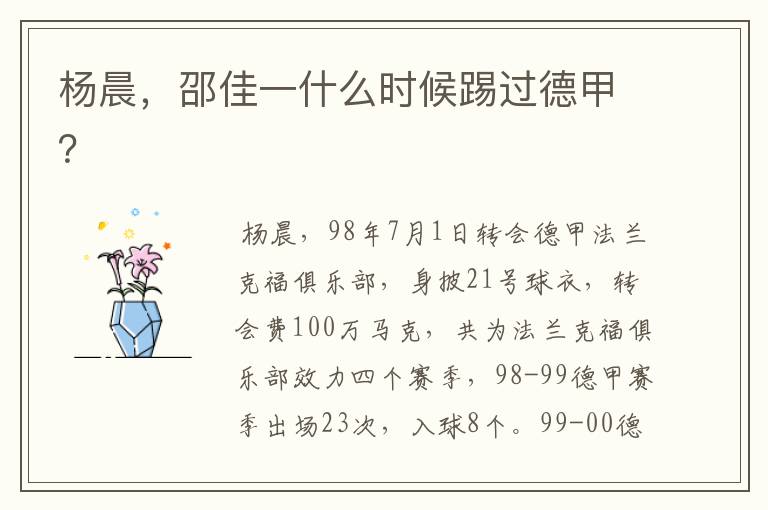 杨晨,邵佳一什么时候踢过德甲?