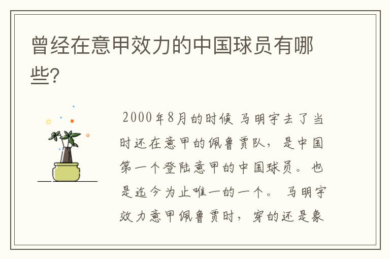 曾经在意甲效力的中国球员有哪些?