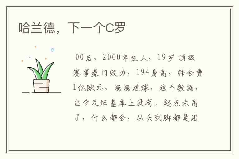 哈兰德,下一个C罗