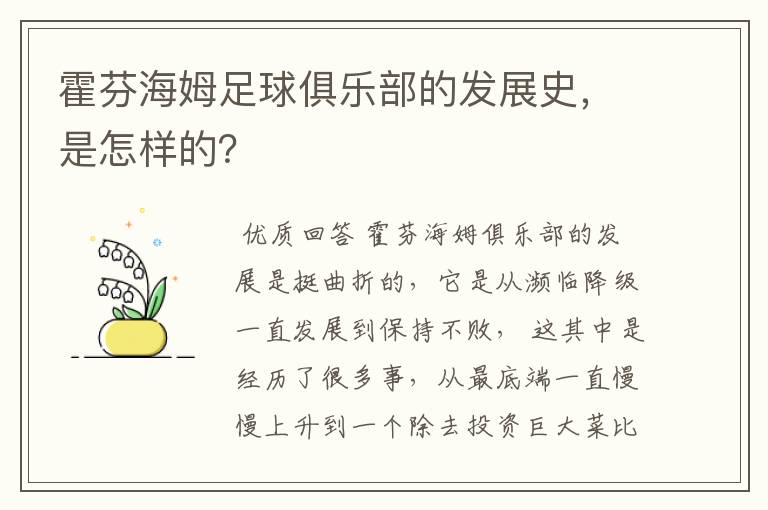 霍芬海姆足球俱乐部的发展史,是怎样的?