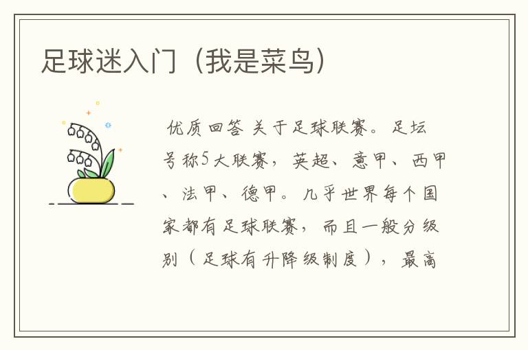 足球迷入门(我是菜鸟)