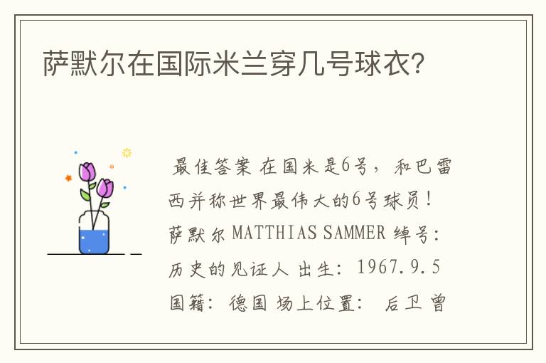 萨默尔在国际米兰穿几号球衣?