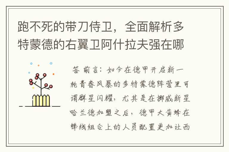 跑不死的带刀侍卫,全面解析多特蒙德的右翼卫阿什拉夫强在哪里