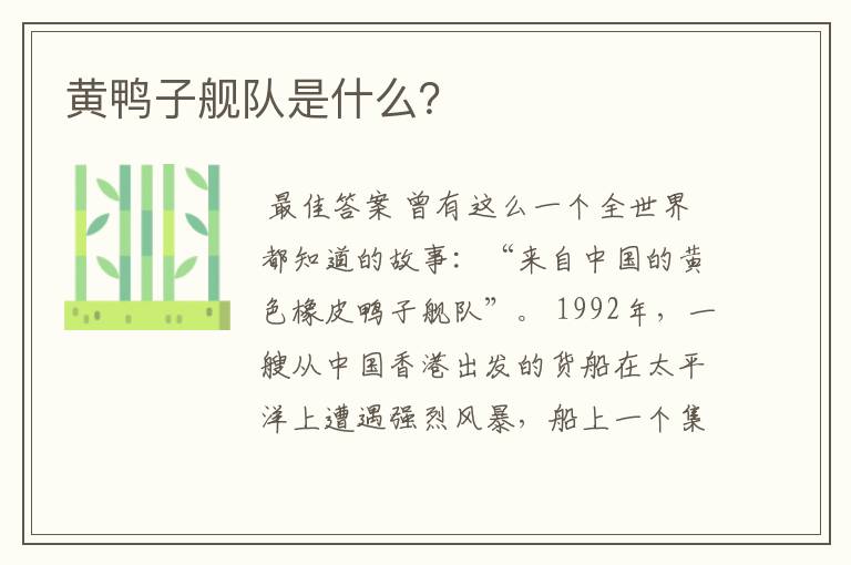 黄鸭子舰队是什么?