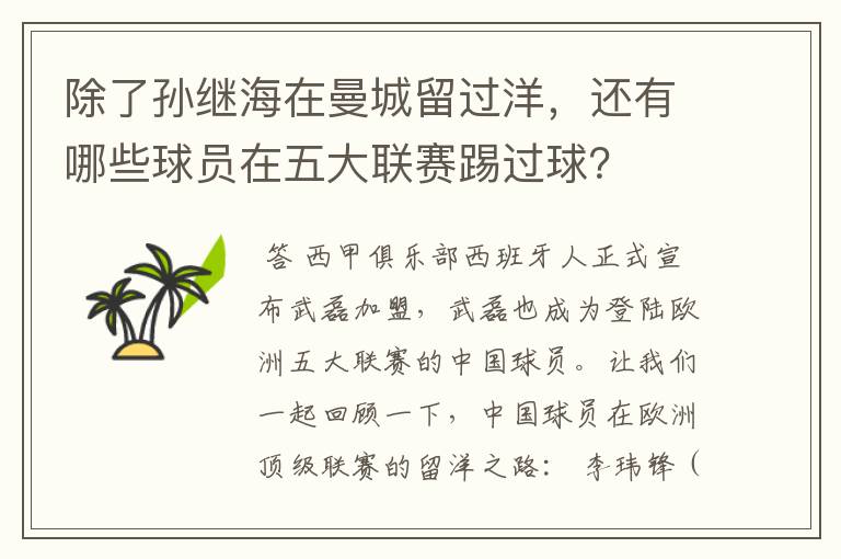 除了孙继海在曼城留过洋,还有哪些球员在五大联赛踢过球?