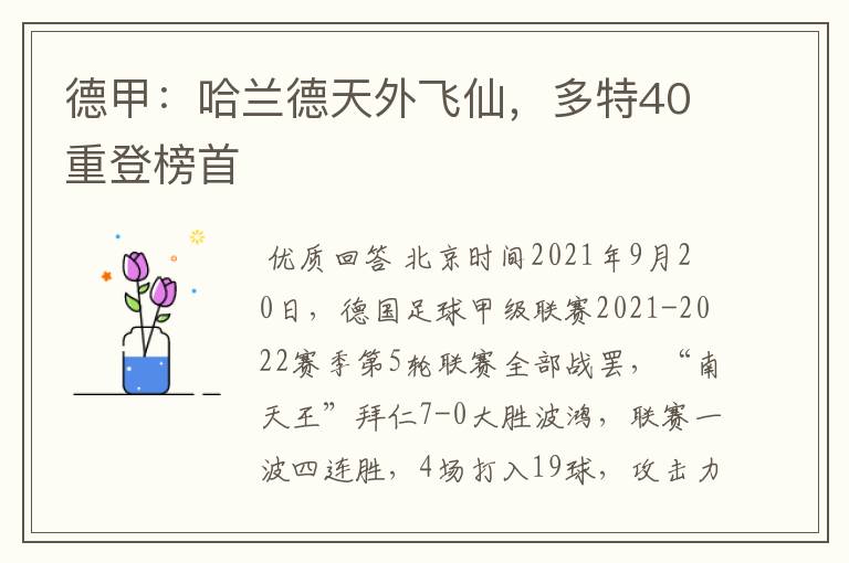 德甲:哈兰德天外飞仙,多特40重登榜首