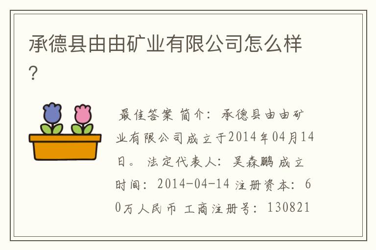 承德县由由矿业有限公司怎么样?