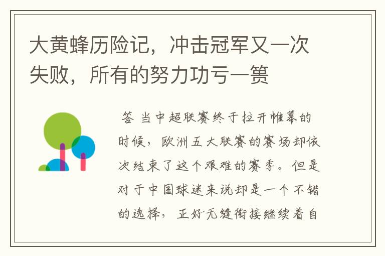 大黄蜂历险记，冲击冠军又一次失败，所有的努力功亏一篑