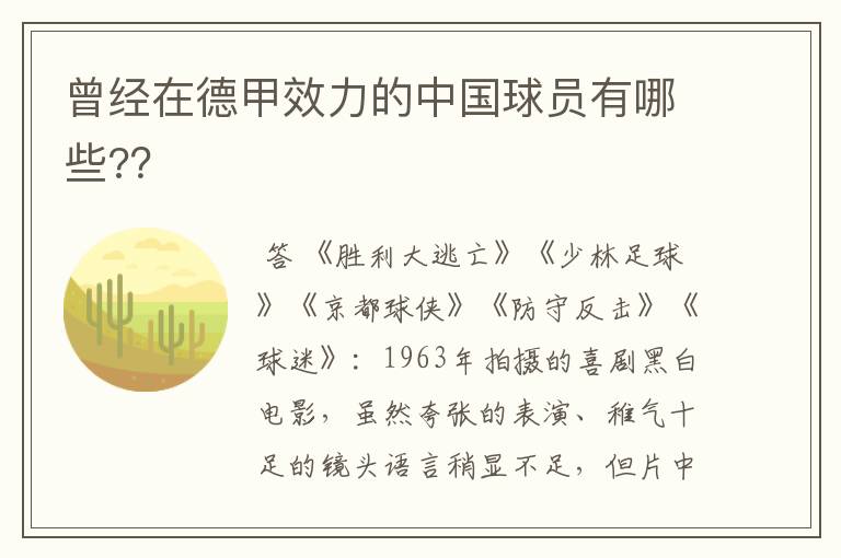 曾经在德甲效力的中国球员有哪些??