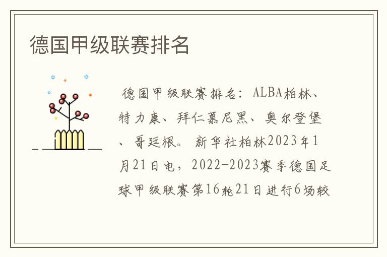 德国甲级联赛排名