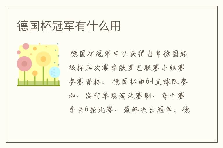 德国杯冠军有什么用