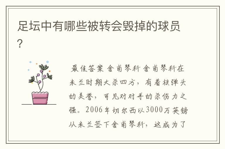 足坛中有哪些被转会毁掉的球员?
