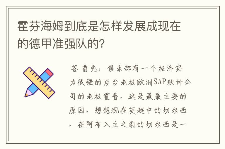 霍芬海姆到底是怎样发展成现在的德甲准强队的?