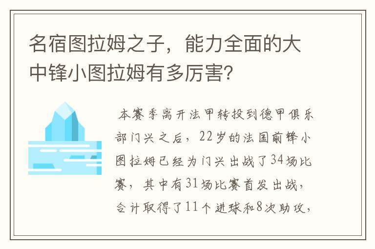 名宿图拉姆之子,能力全面的大中锋小图拉姆有多厉害?