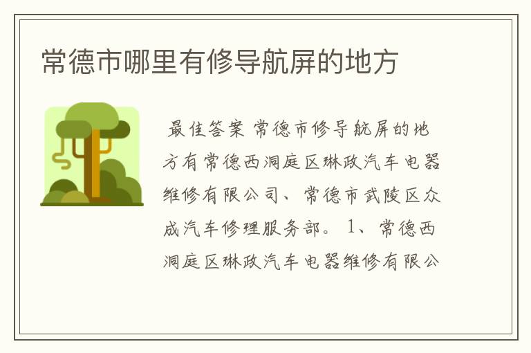 常德市哪里有修导航屏的地方