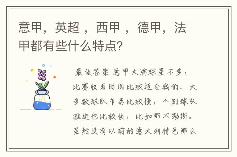 意甲,英超 ,西甲 ,德甲,法甲都有些什么特点?