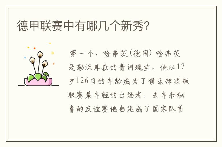 德甲联赛中有哪几个新秀?