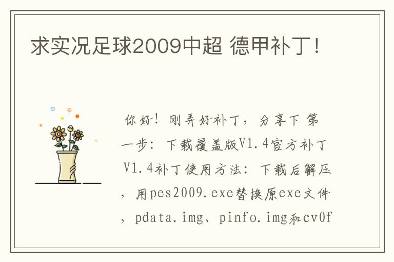 求实况足球2009中超 德甲补丁!
