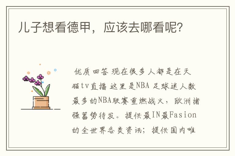 儿子想看德甲,应该去哪看呢?