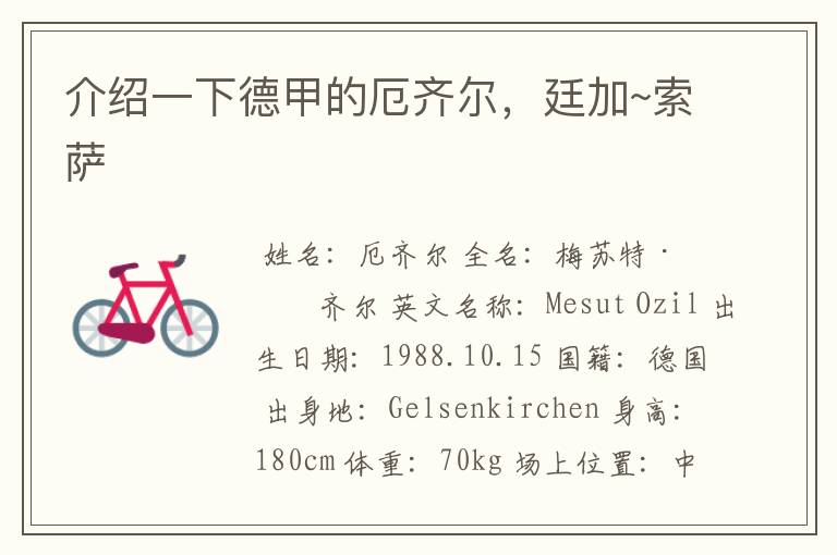 介绍一下德甲的厄齐尔,廷加~索萨