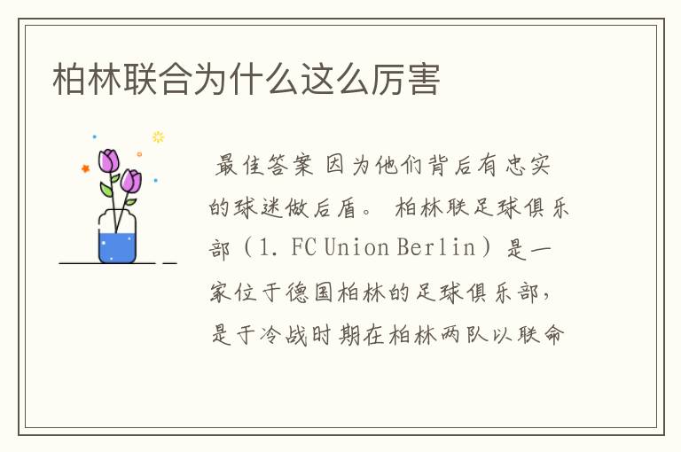 柏林联合为什么这么厉害