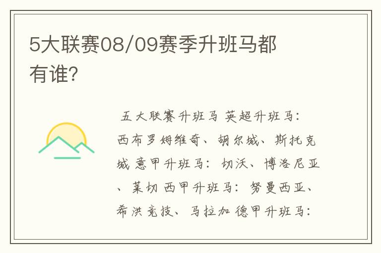 5大联赛08/09赛季升班马都有谁?