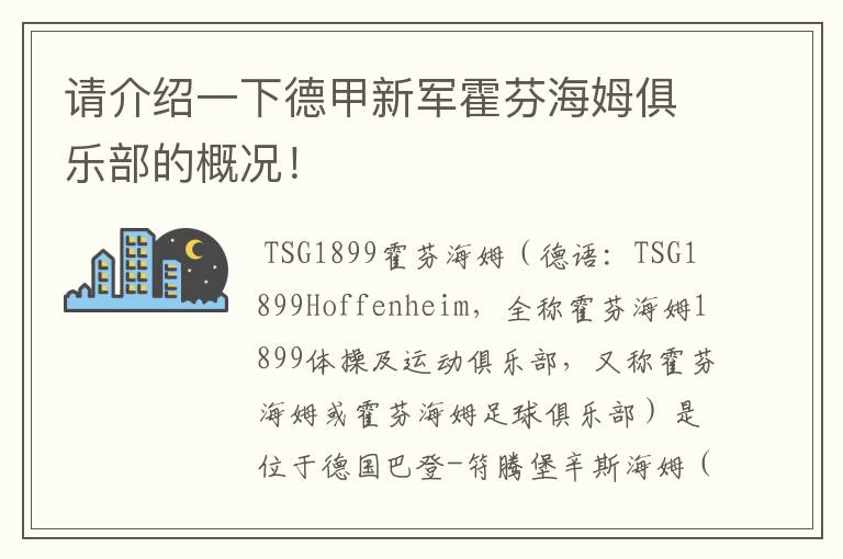 请介绍一下德甲新军霍芬海姆俱乐部的概况!