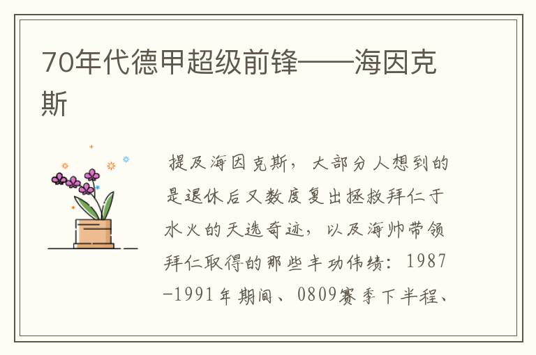 70年代德甲超级前锋——海因克斯