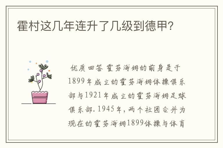 霍村这几年连升了几级到德甲?