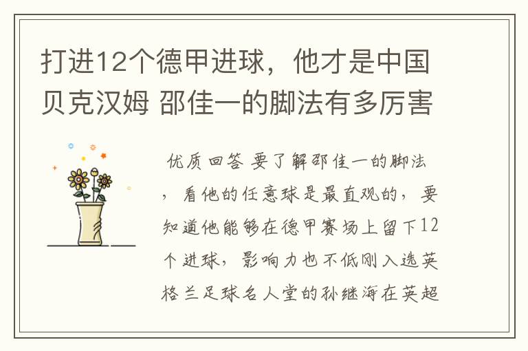 打进12个德甲进球,他才是中国贝克汉姆 邵佳一的脚法有多厉害