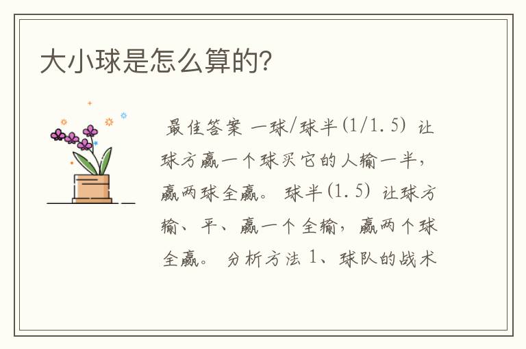 大小球是怎么算的?