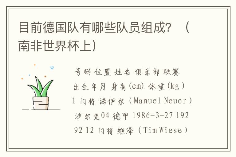 目前德国队有哪些队员组成?(南非世界杯上)