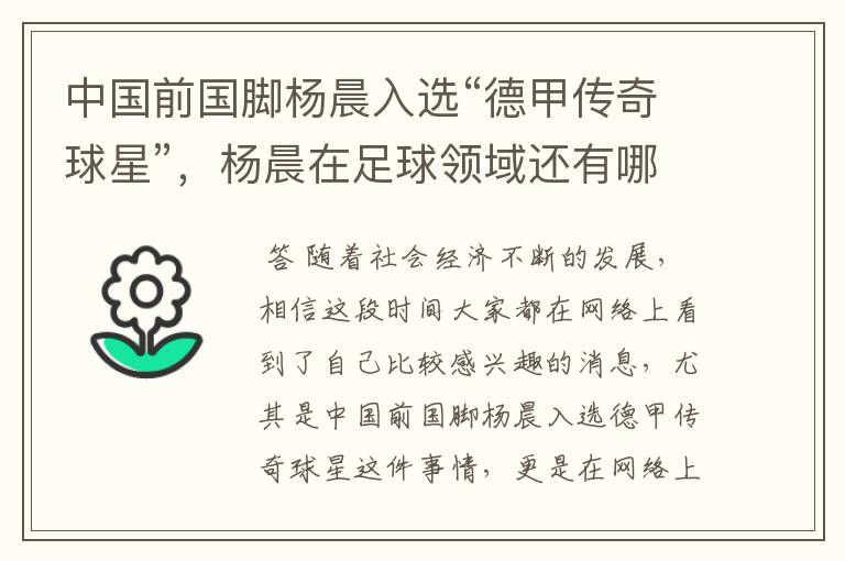 中国前国脚杨晨入选“德甲传奇球星”,杨晨在足球领域还有哪些成就?