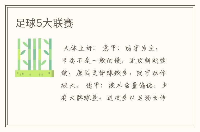 足球5大联赛