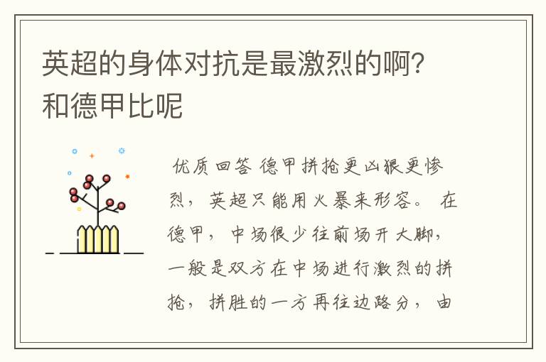英超的身体对抗是最激烈的啊?和德甲比呢