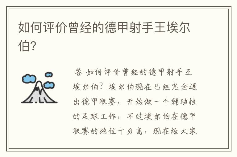 如何评价曾经的德甲射手王埃尔伯?