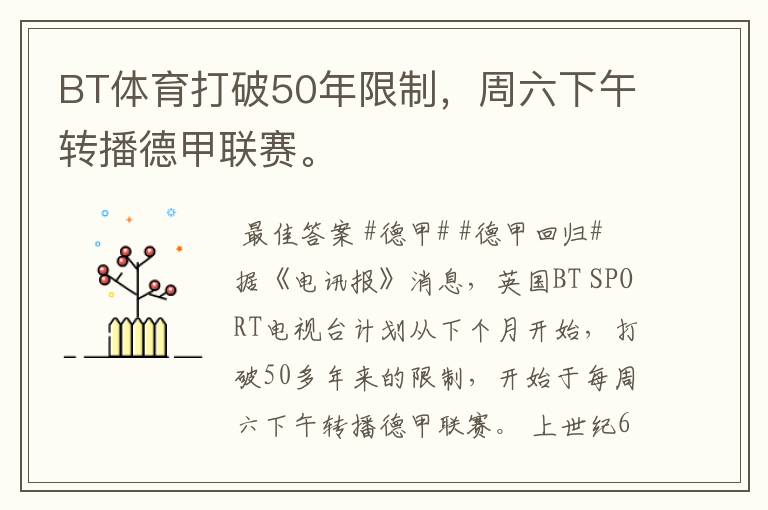 BT体育打破50年限制,周六下午转播德甲联赛。