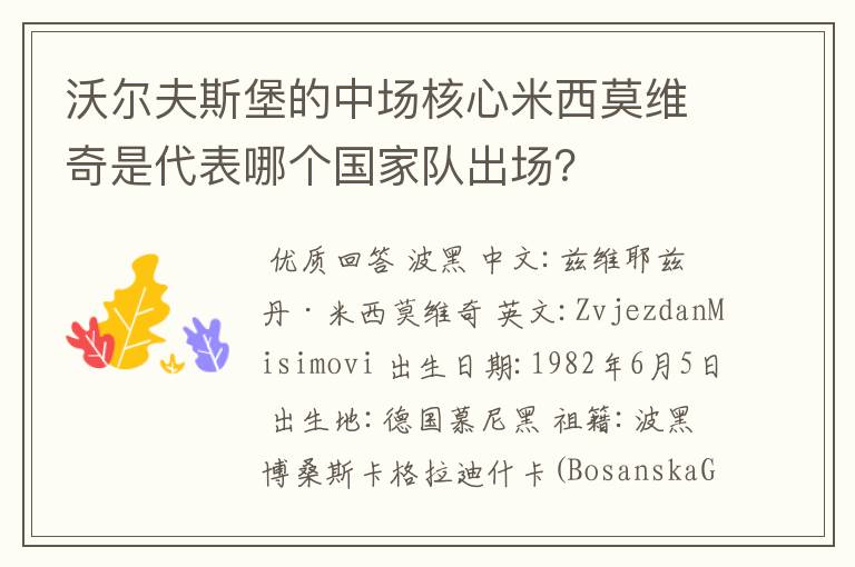 沃尔夫斯堡的中场核心米西莫维奇是代表哪个国家队出场?