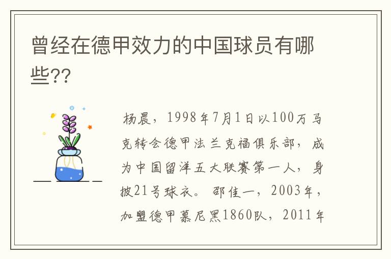 曾经在德甲效力的中国球员有哪些??