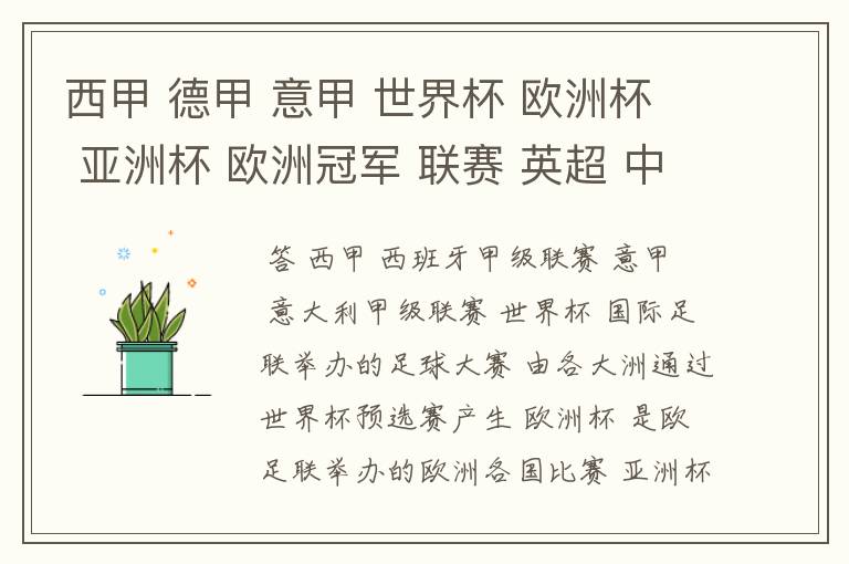 西甲 德甲 意甲 世界杯 欧洲杯 亚洲杯 欧洲冠军 联赛 英超 中超 分别是什么意思啊?
