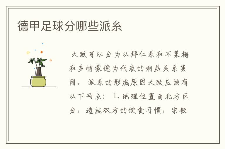 德甲足球分哪些派糸