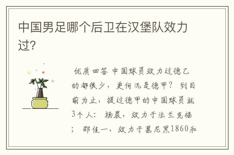 中国男足哪个后卫在汉堡队效力过?