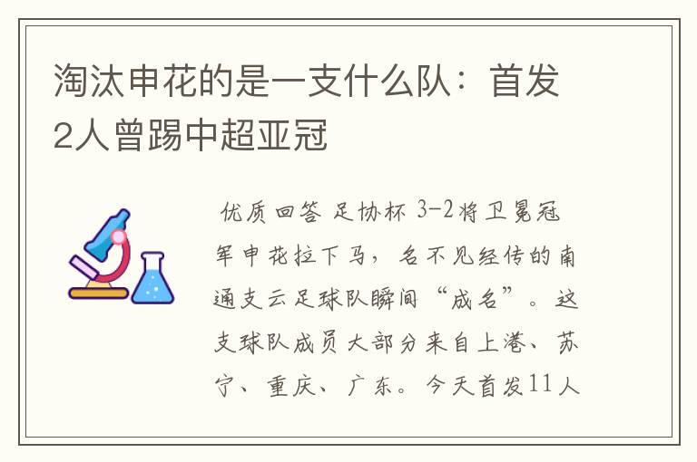 淘汰申花的是一支什么队:首发2人曾踢中超亚冠