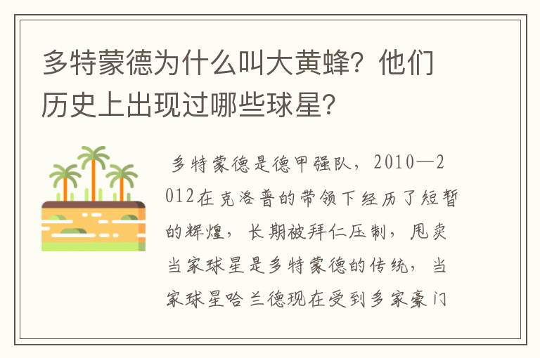 多特蒙德为什么叫大黄蜂?他们历史上出现过哪些球星?