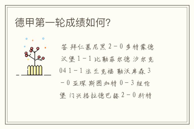 德甲第一轮成绩如何?
