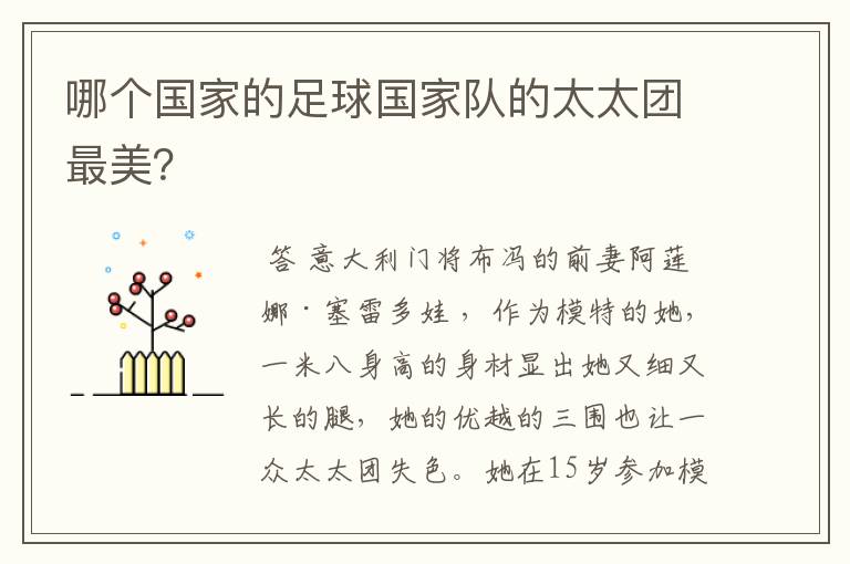 哪个国家的足球国家队的太太团最美?