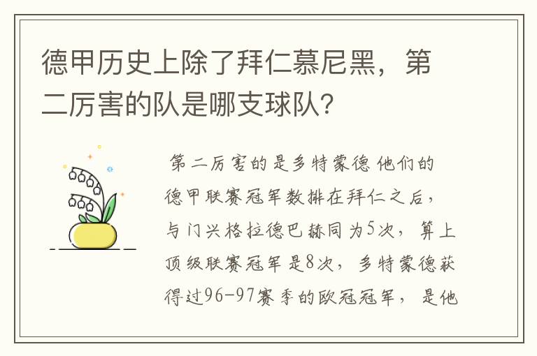 德甲历史上除了拜仁慕尼黑,第二厉害的队是哪支球队?